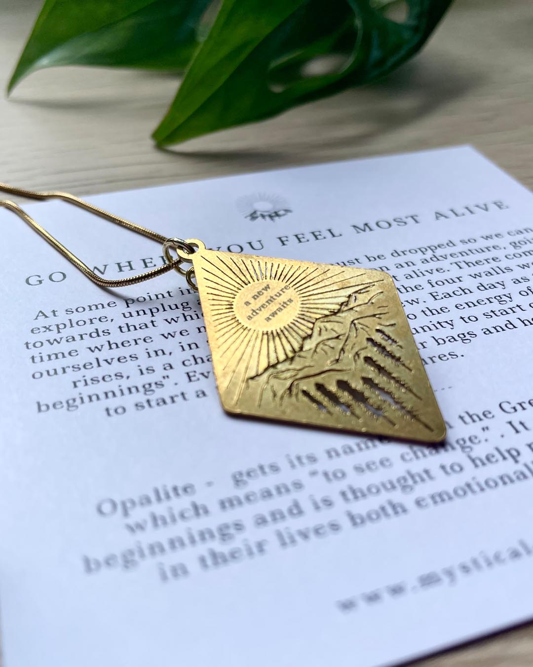 Go Where You Feel Alive Necklace