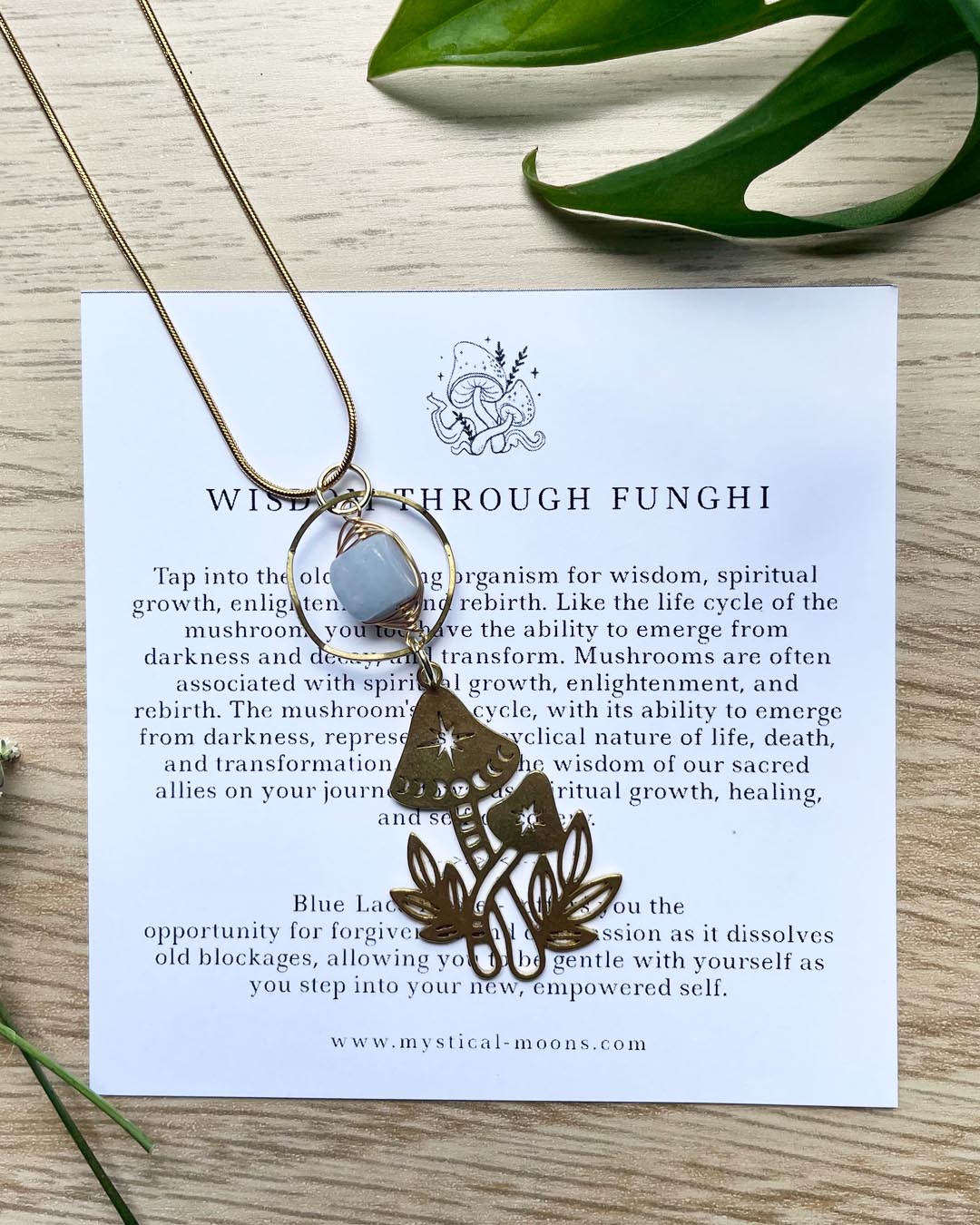 Wisdom Through Funghi - Blue Lace Agate Necklace