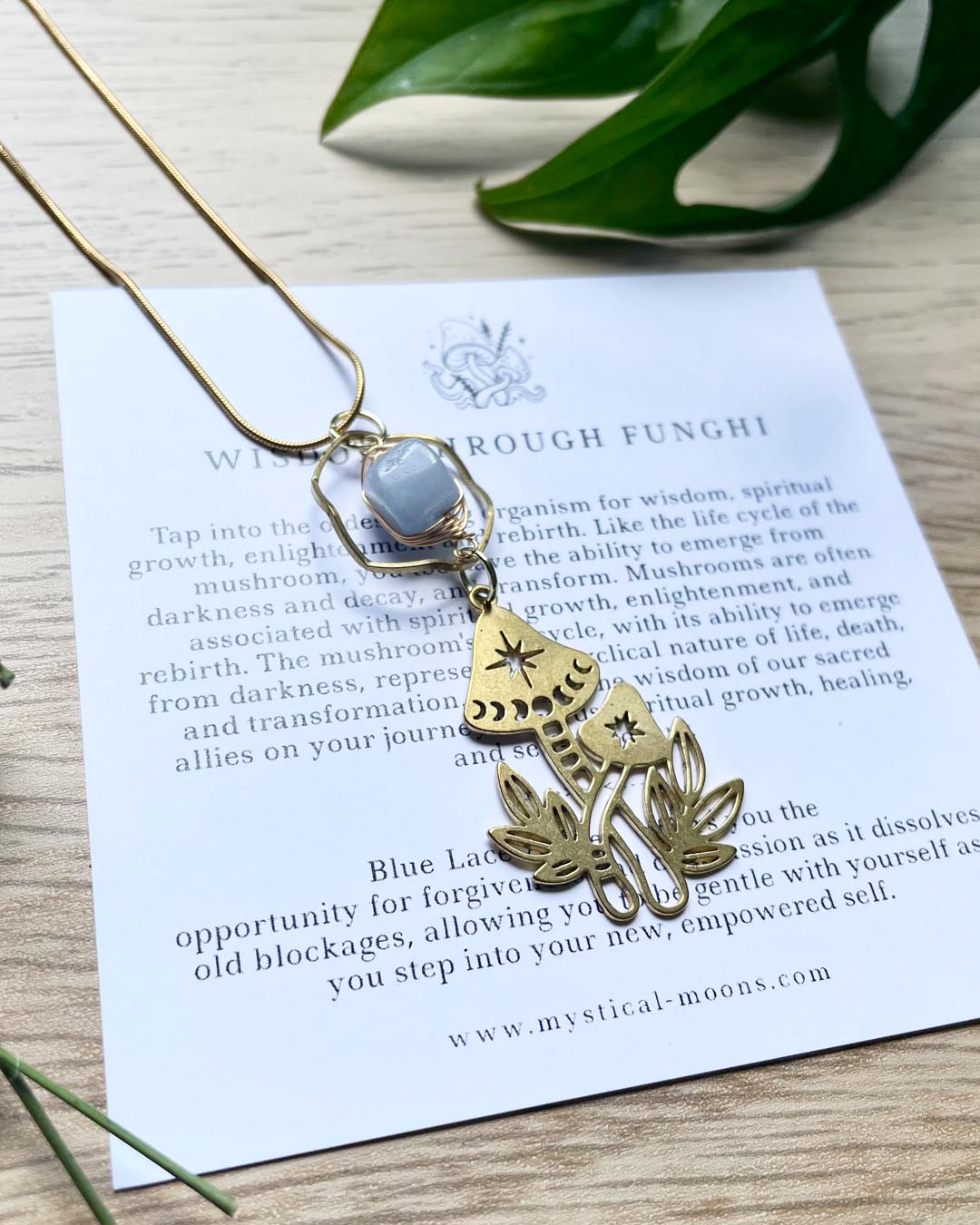 Wisdom Through Funghi - Blue Lace Agate Necklace