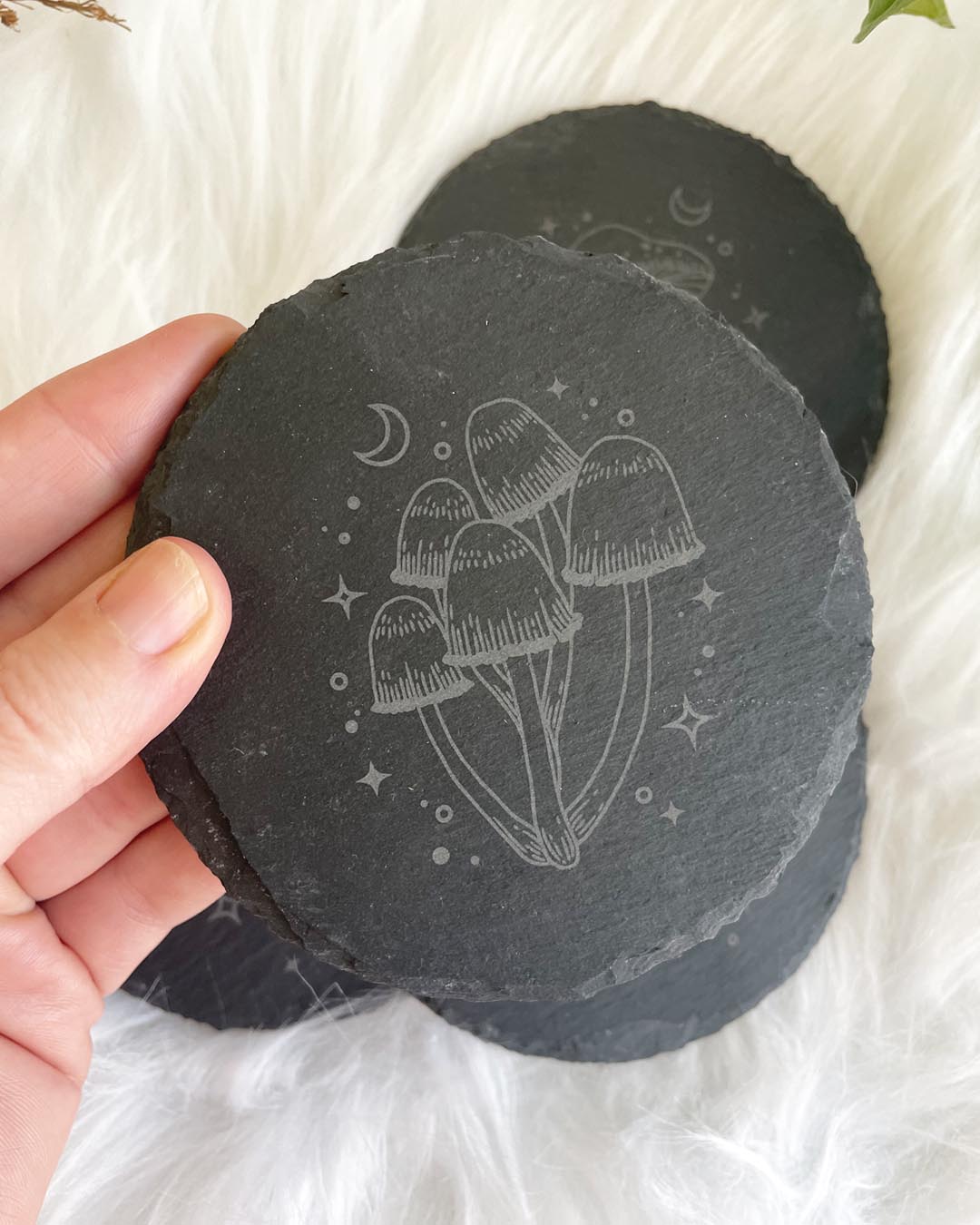 Wisdom Through Funghi Slate Coaster Set