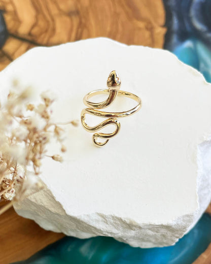 Rebirth & Transformation Ring (Gold)